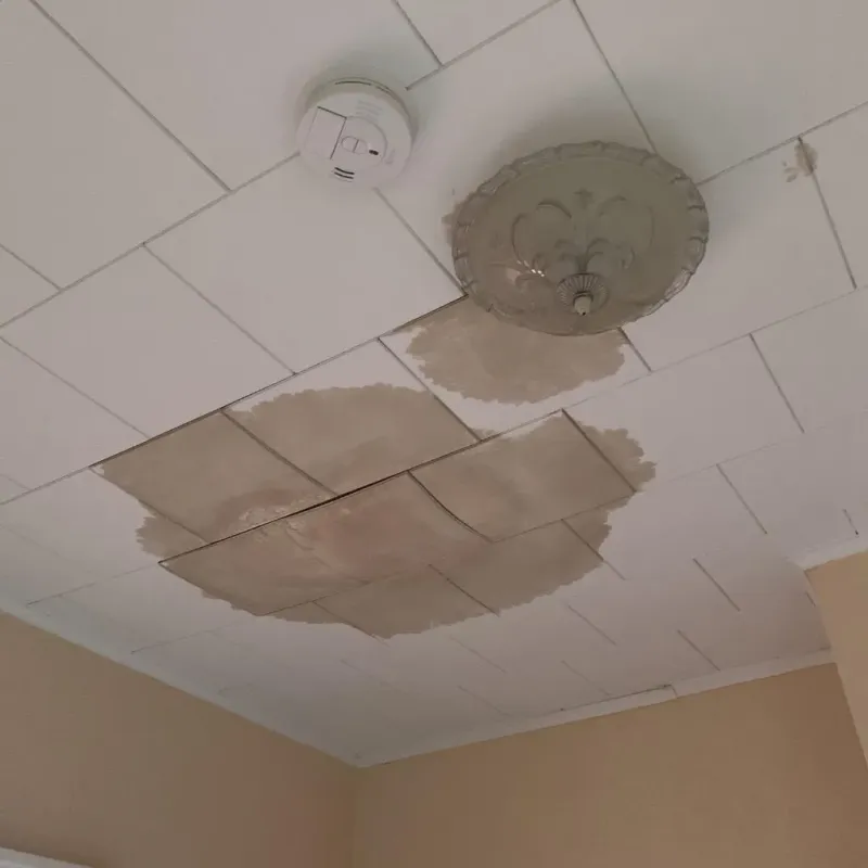 Ceiling Water Damage Repair in Falmouth, MA