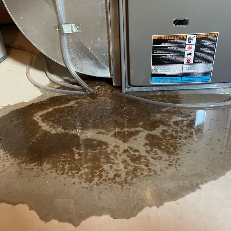 Pipe Burst and Leak Restoration in Falmouth, MA
